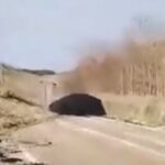 Prnjavor: Pregled sportskih događaja