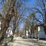 Nove mjere: Učenici od šestog do devetog razreda u ponedjeljak u klupama