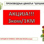 Aktivisti Gvozdenog puka zasukali rukave i očistili smeće iza korona-žurki na jezeru Drenova