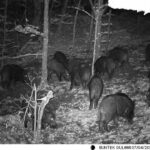 Savjetnik načelnika za ekonomske poslove, dopuna Pravilnika o unutrašnjoj organizaciji i sistematizaciji radnih mjesta OUO Prnjavor