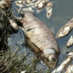 Prnjavor postao dio veliкe 3+ porodice (FOTO)