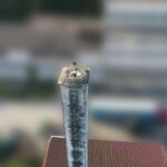 Sijalica visi na kablu na pješačkoj stazi FOTO