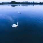 Rok za prijavu najuređenijeg dvorišta PRODUŽEN do 27. juna.