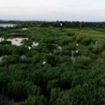 Koncert etno muzike VIDEO