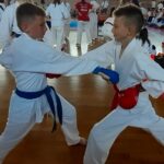 Festival filmova na jezicima nacionalnih manjina – repertoar za 13.06.2021