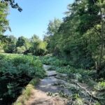 Ekipa “Ub Cereks” pobjednik turnira u uličnom basketu