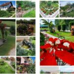 „Mladegs pak“ donira 150.000 KM za rekonstrukciju gradskog parka VIDEO