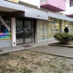 Proslavljena hramovna slava „Silazak Svetoga Duha na apostole“ u Velikoj Ilovi (FOTO)