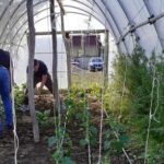 Izložba posvećena banu Stefanu Drugom Kotromaniću