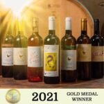 Oko podneva bio mrtav pijan za volanom: Sletio s puta i udario u betonski stub, majka poginula, on pretrpio lakše povrede