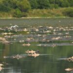 Đokićev preletač novi pomoćnik direktora Poreske uprave