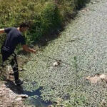 RTRS-Tomaš: Organi stečajnog postupka preuzimaju veliku odgovornost za pomor ribe (VIDEO)