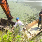 Uklonjena uginula riba iz ribnjaka prilog TV K3