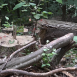 Troje mladih umjetnika predstavilo svoja djela FOTO