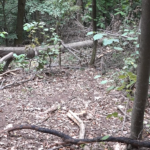 ”Motajica kup” kroz pikado takmičenje promovisao druženje slijepih i slabovidnih lica (FOTO/VIDEO)