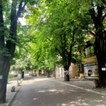 K3: Inspekcija RS sutra u “Ribnjaku” u Prnjavoru: Ribe i dalje masovno umiru (VIDEO)