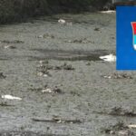 Hrvatski mediji o plakatima Ratka Mladića u Prnjavoru: Plakati ratnog zločinca