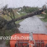 Prnjavor: Voće stradalo nakon olujnog nevremena (FOTO)