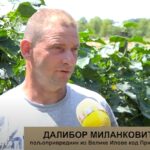 Radulović i Mirković šampioni Kozare