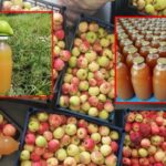 Biblioteka: Održana radionica sa Mini Mausom i vatrogascima (FOTO)