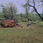 Olujno nevrijeme zahvatilo Prnjavor: Vjetar čupao stabla i krovove sa kuća (VIDEO)