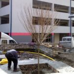 Borislav Stojčić iz Gornjih Smrtića bavi se proizvodnjom meda VIDEO