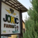 Mladi SDS: Preobraženjski turnir u malom fudbalu