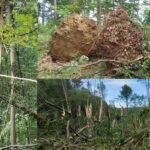 Realizovan projekat “Naša budućnost” (FOTO)