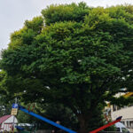 U toku je VELIKA Fortuna nagradna igra koja traje do 15.02.2022.godine