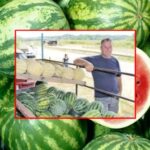 Uspon na najviši vrh BiH i RS – Maglić