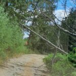 Nevrijeme u Prnjavoru: Vjetar nosio krovove i lomio bandere VIDEO