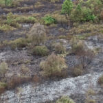 Još jedna u nizu odličnih projekata mladih u Prnjavoru je projekat “Muzički festival”