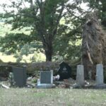 Utisci učesnika Vivia 3X3 Prnjavor 2021 (VIDEO)