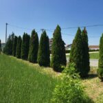 Za manje od tri mjeseca uključeno 20 lokalnih zajednica: Program “Ponosna kartica” zajednica 6.000 višečlanih porodica