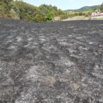 Petrović: Gospodo iz SNSD-a, dobro ste se sjetili da imate više budžetskih primanja?