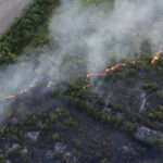 Kritika urodila plodom