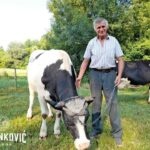 Metalex doo: Konkurs za trgovca u maloprodaji