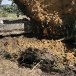 Biblioteka organizuje radionice za djecu uzrasta od 5 do 7 godina