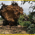 SNSD Prnjavor: Bukvić falsifikuje službene dokumente da bi zloupotrebljavao opštinske resurse