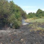 Danijel Moravski iz Štrbaca kod Prnjavora uzgaja japanske prepelice (FOTO/VIDEO)