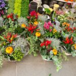 Dan bez automobila u OŠ “Nikola Tesla”