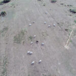 PizzaBar CVIJETA: Budite dio našeg tima