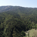 Prnjavorčanke oduševile nastupom u emisiji “Nikad nije kasno” (FOTO)