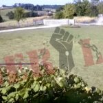 Požar u ul. Desanke Maksimović gori njiva VIDEO