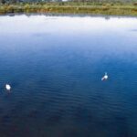 RK “Sloga” Prnjavor: Kadeti u novim trenerkama