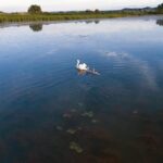 U Potočanima 29. šahovski turnir (FOTO)