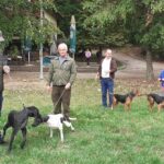 Tomaš: Gdje je “medijski mrak” kad se opozicionari “ne gase”!?