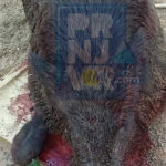 Prnjavor bez novozaraženih korona virusom