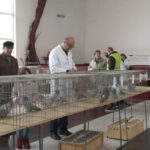 UMESTO SA OSMEHOM, VRATILI SE U SANDUCIMA: Srpska i Federacija plaču za mladićima koji su poginuli u Austriji (FOTO)