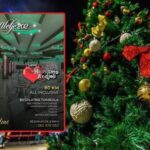 Naruči svoj novogodišnji ukras iz radionice “Slonče poklonče”